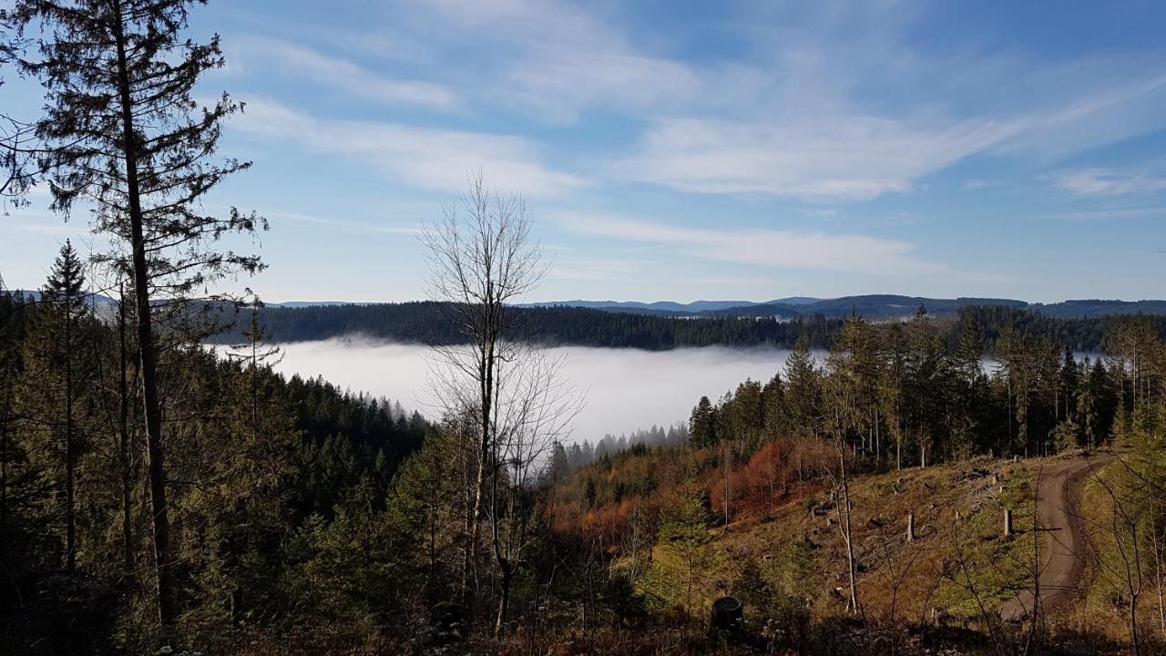 Appartement Am Schneeberg Titisee-Neustadt