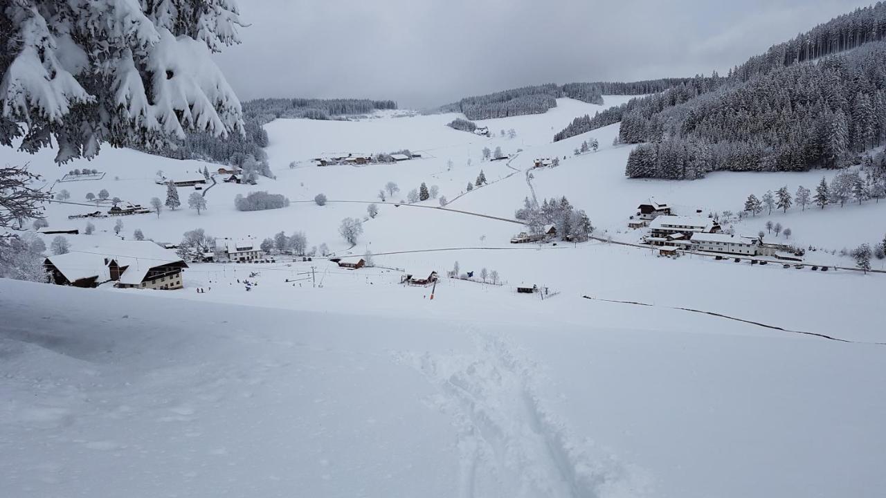 Am Schneeberg Titisee-Neustadt