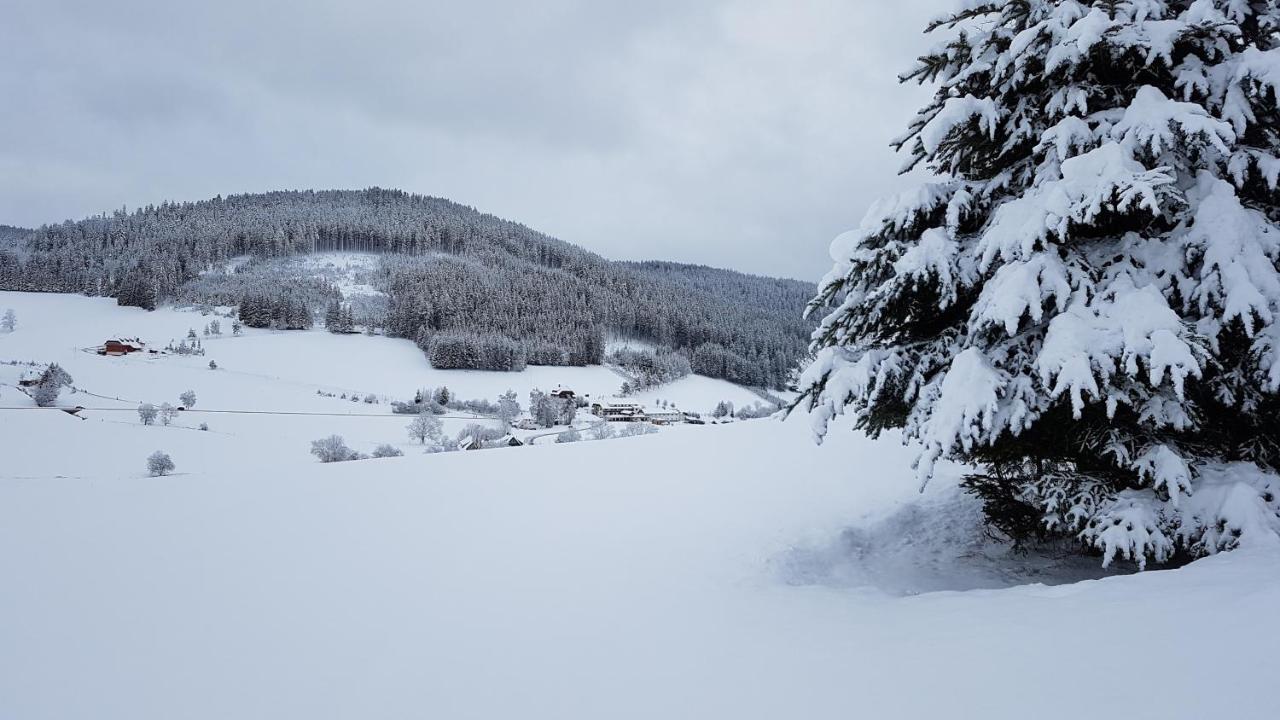 Am Schneeberg *
