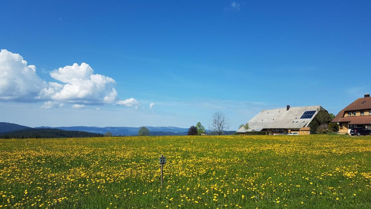 Am Schneeberg * Titisee-Neustadt