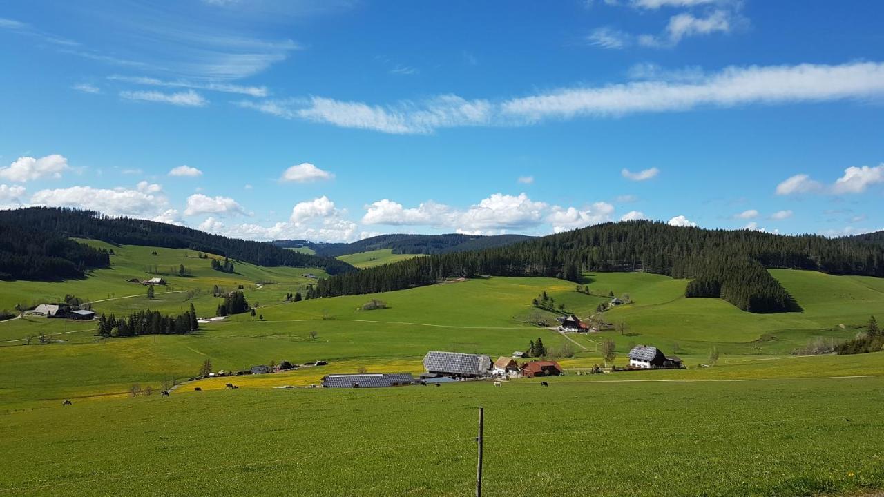 Am Schneeberg Apartment *