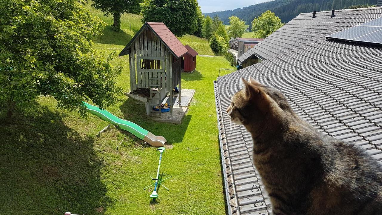 Am Schneeberg *