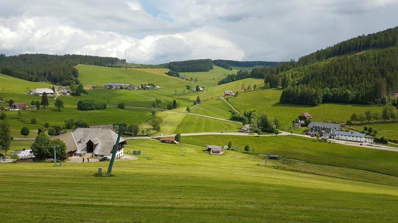 Am Schneeberg * Titisee-Neustadt