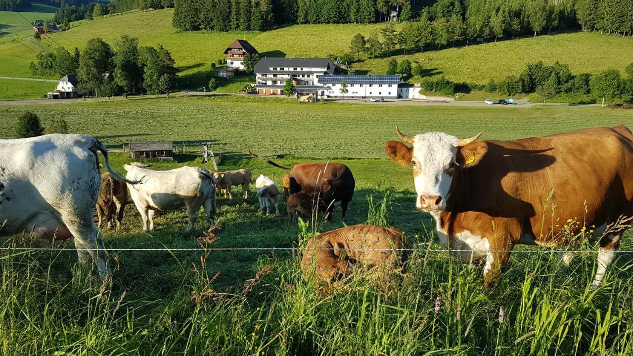 Apartment Am Schneeberg