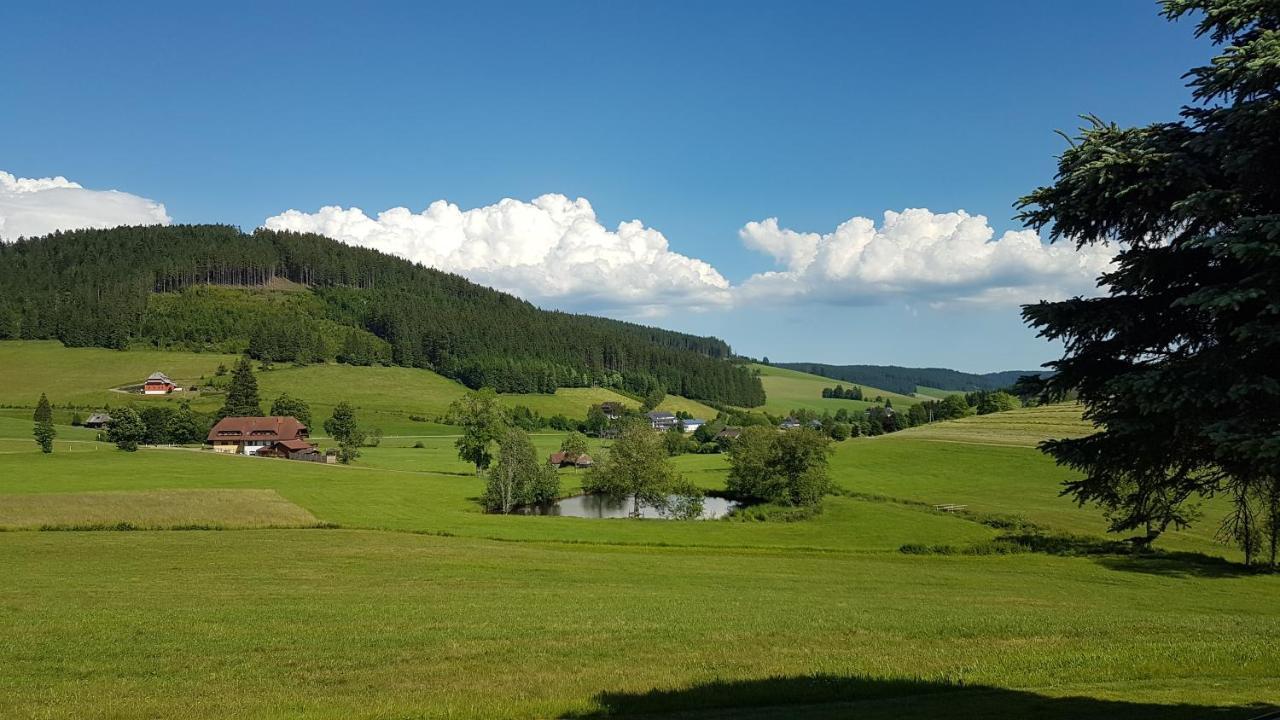 Am Schneeberg Titisee-Neustadt
