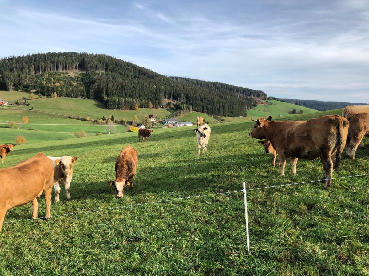Am Schneeberg