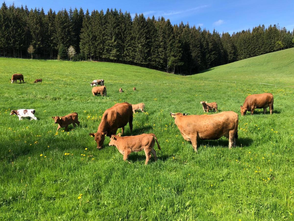 Am Schneeberg Apartment Titisee-Neustadt