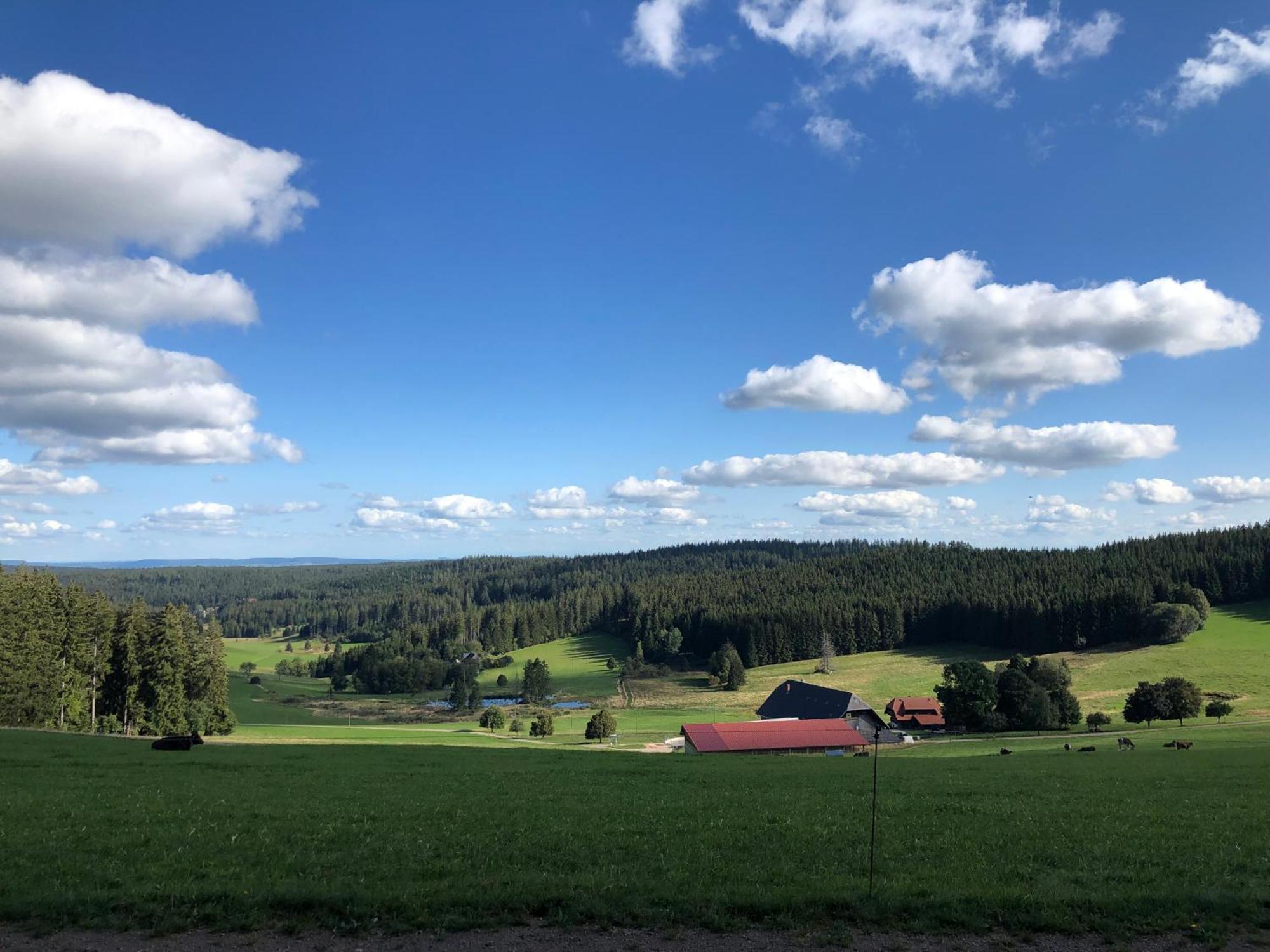 Appartement Am Schneeberg *