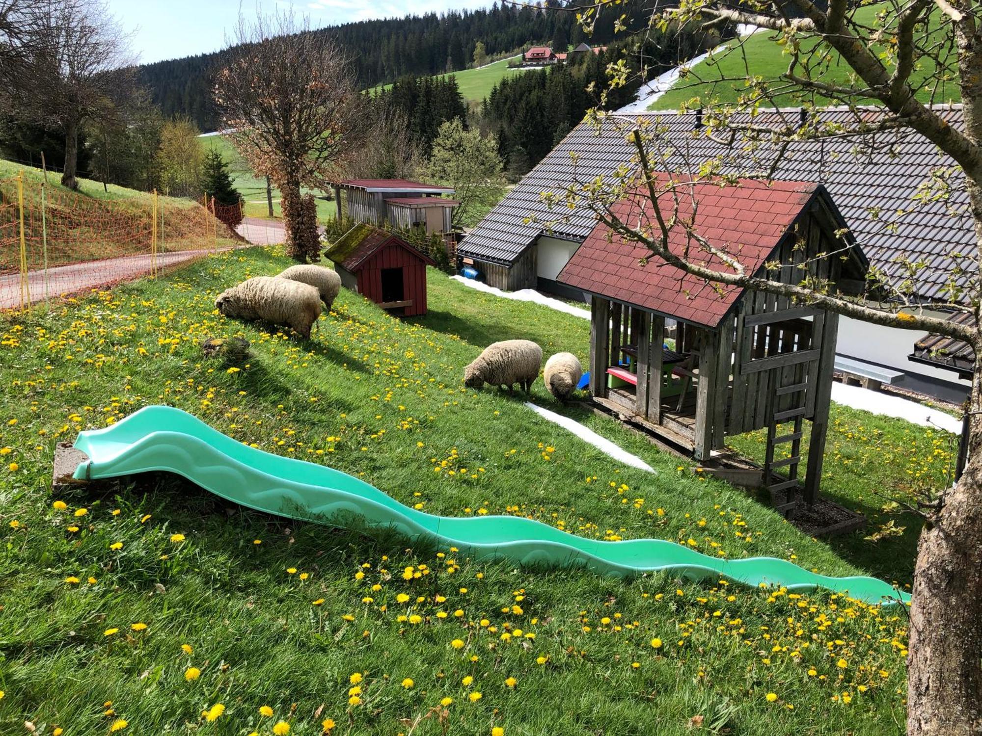 Apartment Am Schneeberg Titisee-Neustadt