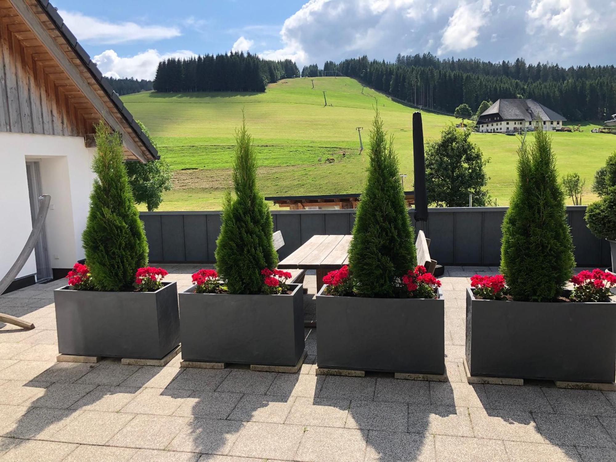 Am Schneeberg *