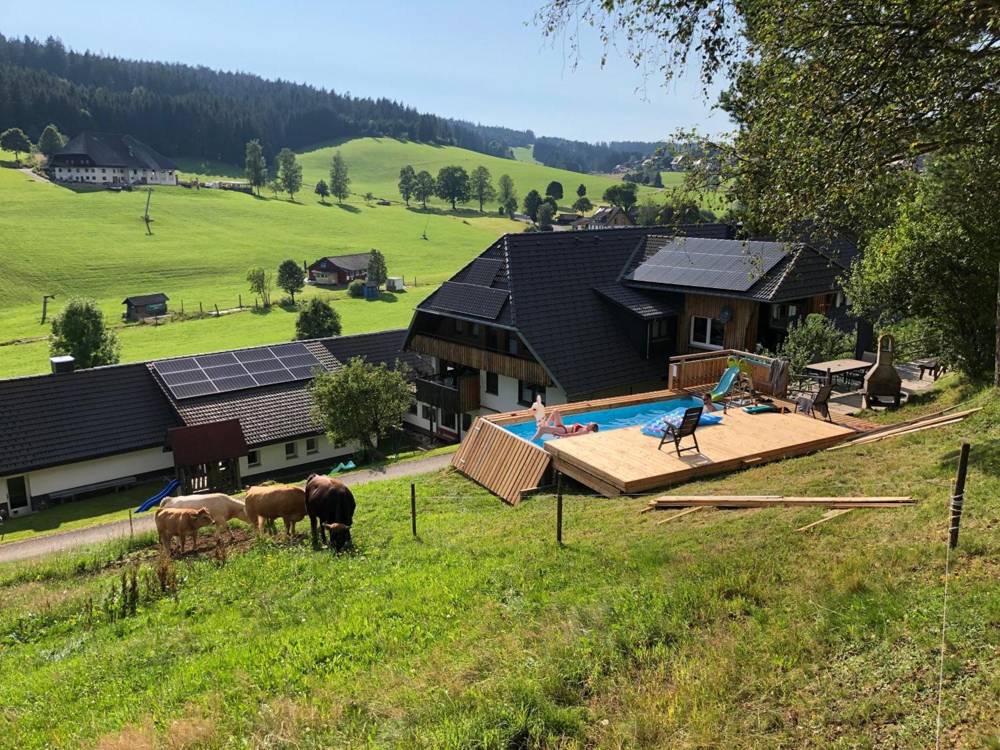 Am Schneeberg * Titisee-Neustadt